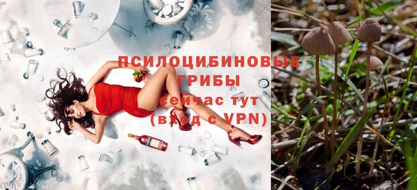 скорость Богородск