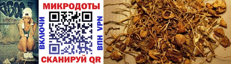 Псилоцибиновые грибы Psilocybe  Купить  Альметьевск 